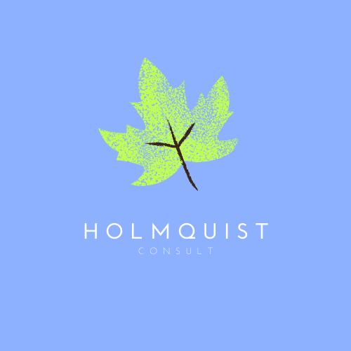 Holmquist Consult - Ledelsesrådgivning, ledelsesudvikling, strategi og internationalt samarbejde.